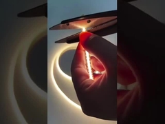 Luce di striscia della PANNOCCHIA