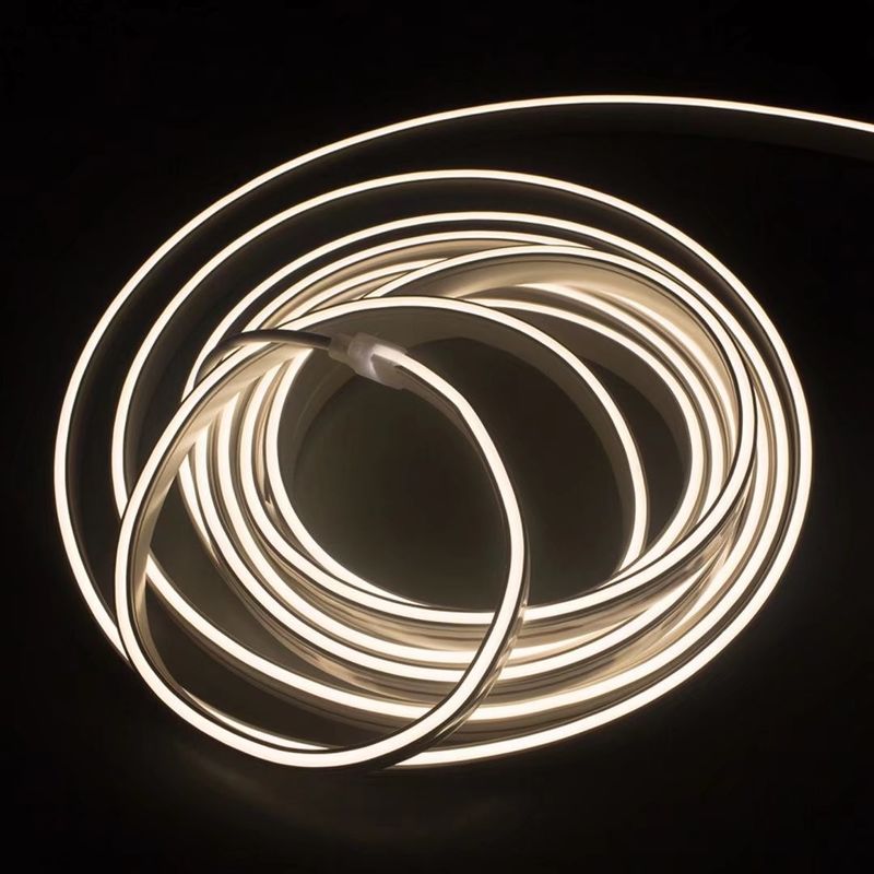 Le lampade fluorescenti al neon della corda del silicone flessibile LED colorano IP65 all'aperto variabile IP67