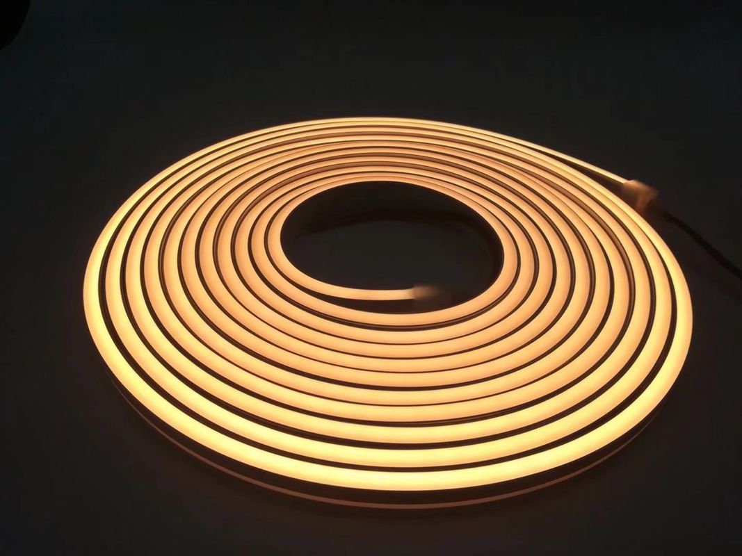 Le lampade fluorescenti al neon della corda del silicone flessibile LED colorano IP65 all'aperto variabile IP67