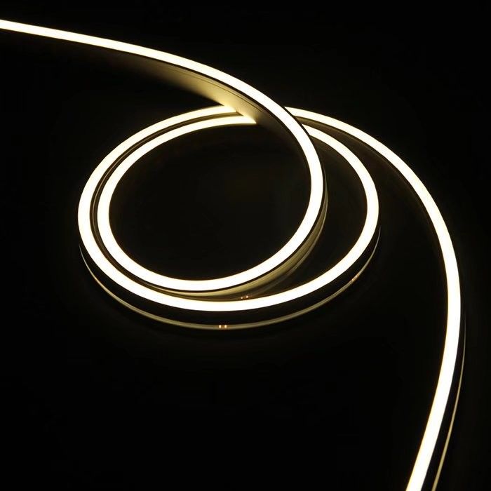 Le lampade fluorescenti al neon della corda del silicone flessibile LED colorano IP65 all'aperto variabile IP67