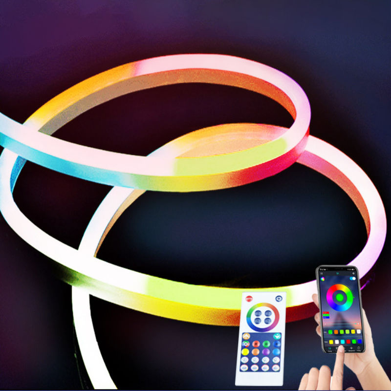 Decorazione domestica all'aperto dell'interno al neon 12V di Antivari della luce di striscia del silicone del mostro 5m Smart