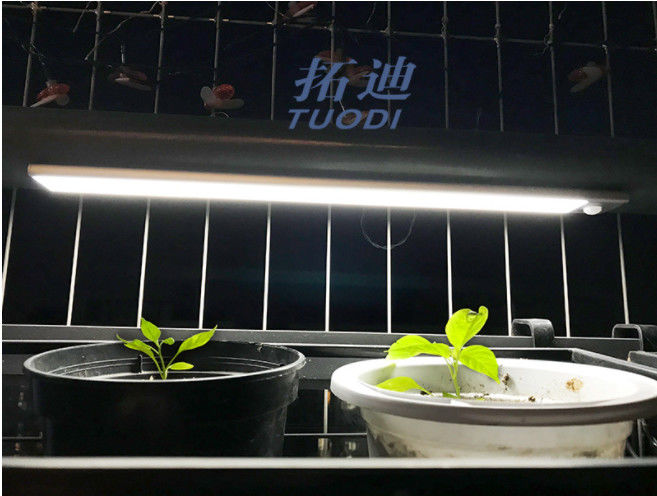 Luce flessibile ricaricabile senza fili del Governo del sensore di moto di USB LED nell'ambito di contro luce di illuminazione di gabinetto