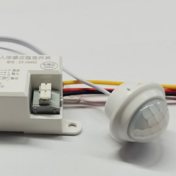 Sensore di moto di PIR Sensor Switch PIR External Sensor 12V degli accessori del sensore di IP20 LED per le luci principali del Governo