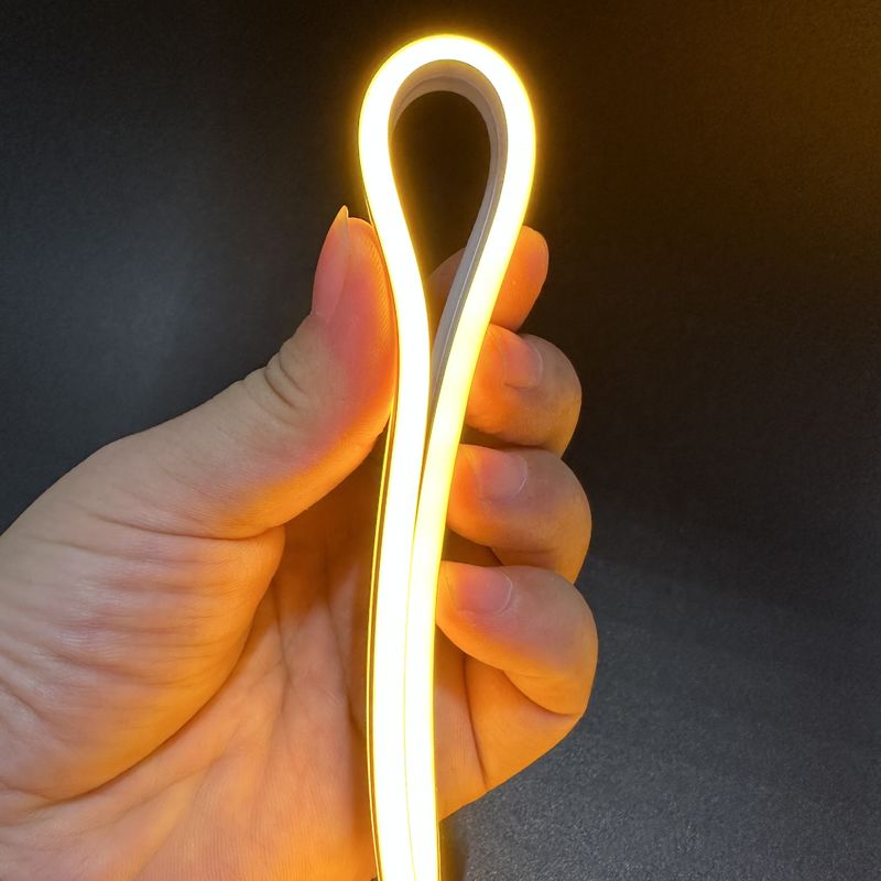 Flex Rope Light Dual Color al neon principale Flex Led Strip al neon 24V ha condotto le luci flessibili della metropolitana
