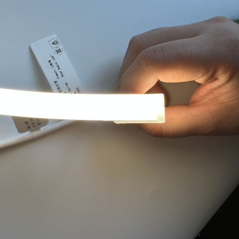 Luce di striscia al neon del silicone del LED 2700K - 6000K/RGBW/DMX512 24V 1010 luce al neon 1212 16116