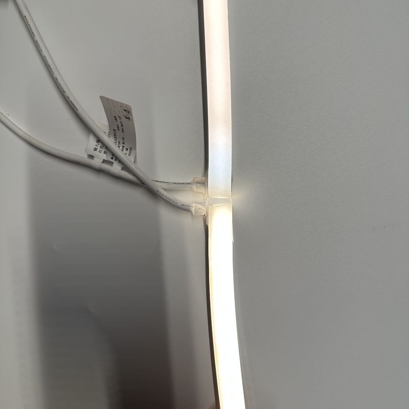 Luce di striscia al neon del silicone del LED 2700K - 6000K/RGBW/DMX512 24V 1010 luce al neon 1212 16116