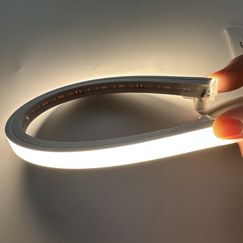 Bande al neon molli 12V/24V di CC 120LEDs/M For Indoor/luce di neon all'aperto del silicone 24V del LED