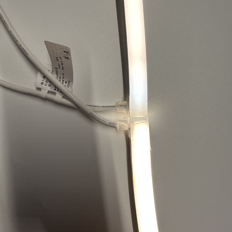 Bande al neon molli 12V/24V di CC 120LEDs/M For Indoor/luce di neon all'aperto del silicone 24V del LED